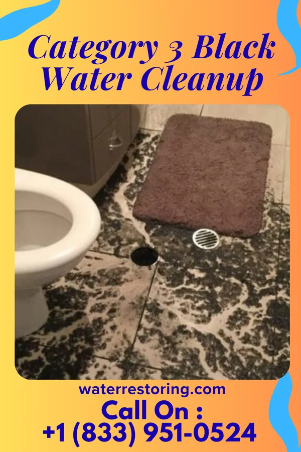 Category 3 Black Water Cleanup in Paynesville, MN