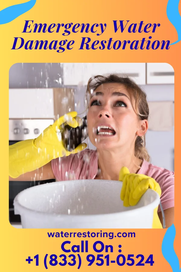 Emergency Water Damage Restoration in Paynesville, MN